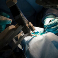 Training Eyes vs Surgical Eyes