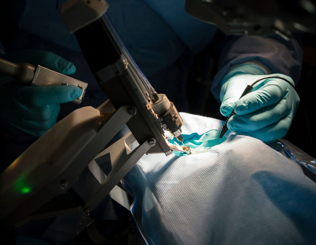 Training Eyes vs Surgical Eyes: Which One Should You Choose for Ophthalmic Practice?